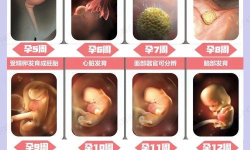 肝硬化病人能吃冬瓜吗网肝硬化病人能吃冬瓜吗知识网站,分享肝硬化病人能吃冬瓜吗大全
