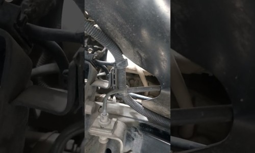 肝硬化能不能吃动物肝脏-肝硬化病人能吃冬瓜吗网肝硬化病人能吃冬瓜吗知识网站,分享肝硬化病人能吃冬瓜吗大全
